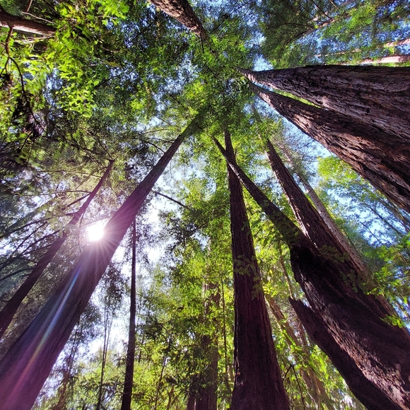 Heather's Loft - Picture 10 of 15